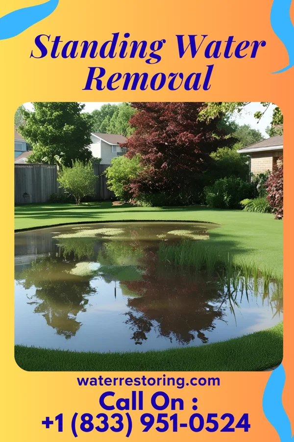 Standing Water Removal in Oskaloosa, KS